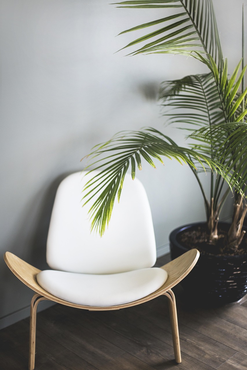 chair, nature, plant, furniture, interior
